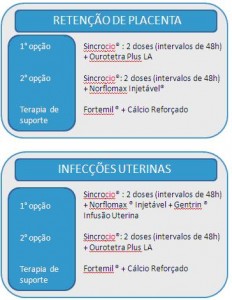 PGF2 e endometrite Ruminantes