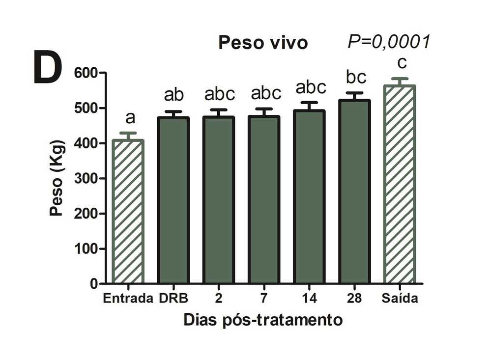 Peso vivo 