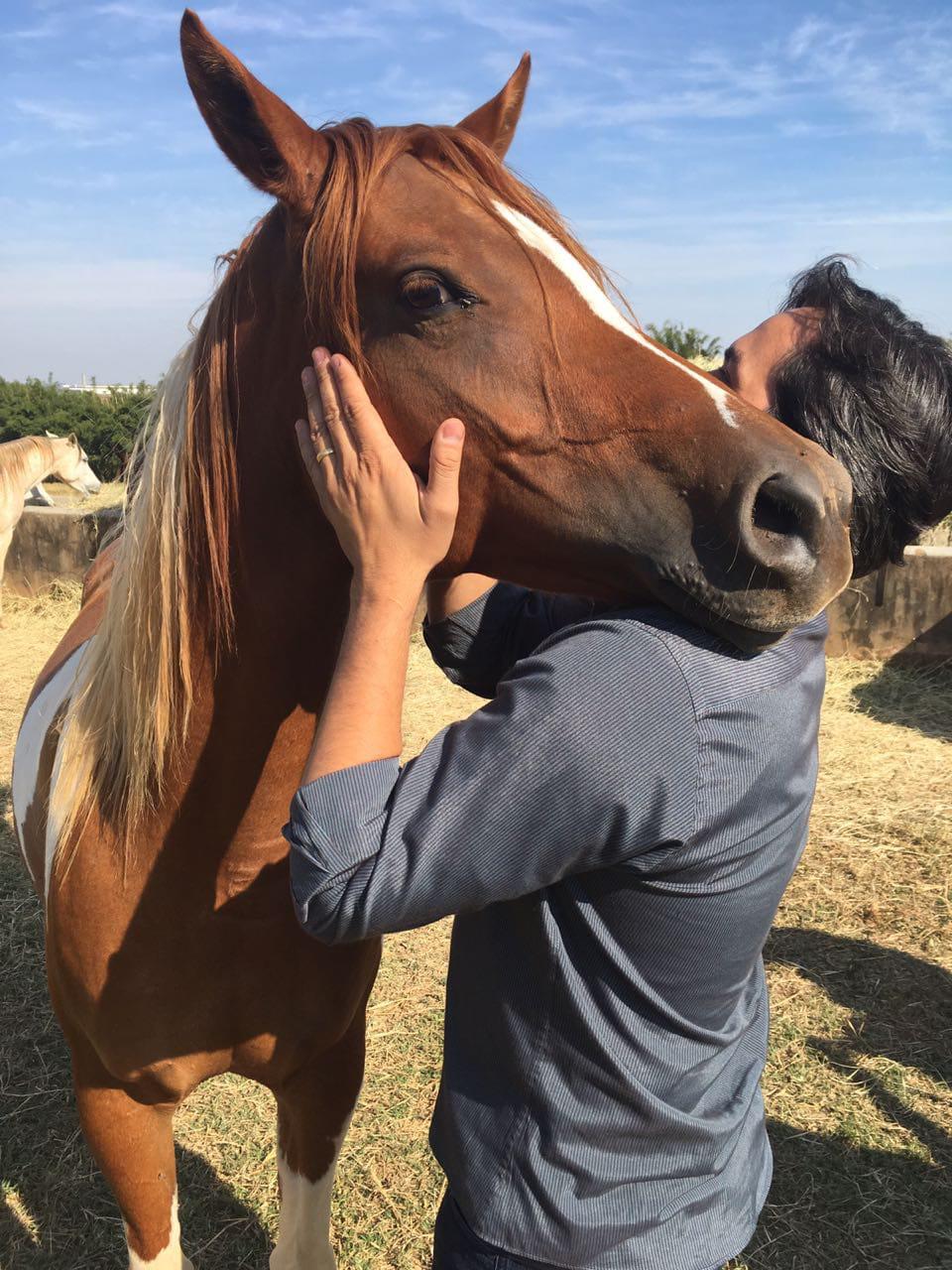 Veterinário acaricia animal antes de aplicar vermífugo