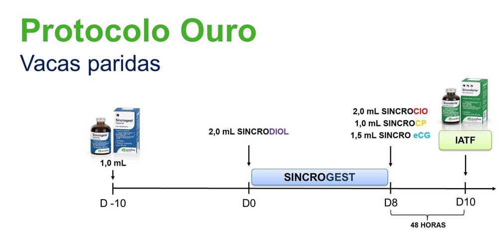 Protocolo Ouro para vacas paridas Ourofino