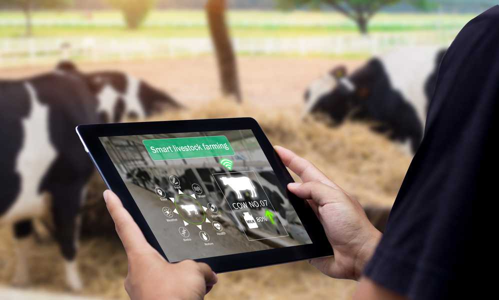 Programa Examina Ourofino Saúde Animal