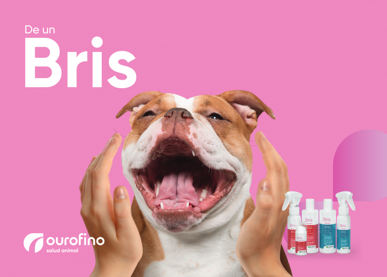 Con nanotecnología, Ourofino ingresa al mercado de la dermocosmética para mascotas en México y Colombia