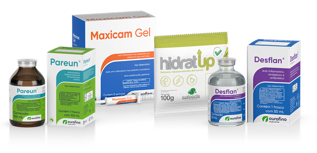 Soluções para condição inflamatória em Neonatos Equinos - Ourofino Saúde Animal