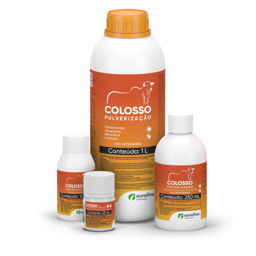 Pack de apresentações