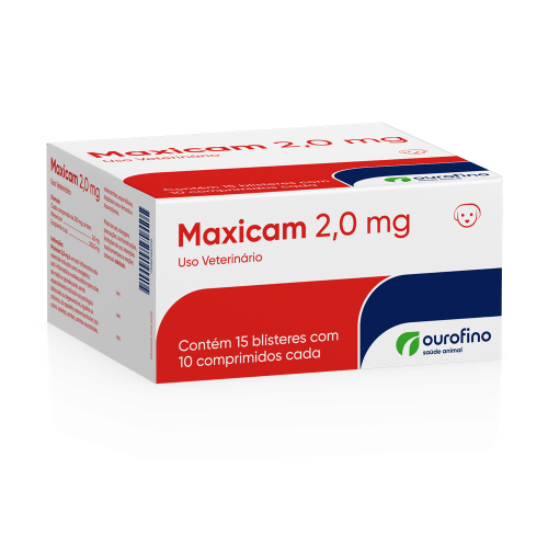 FR_Display_maxicam_2,0-rb