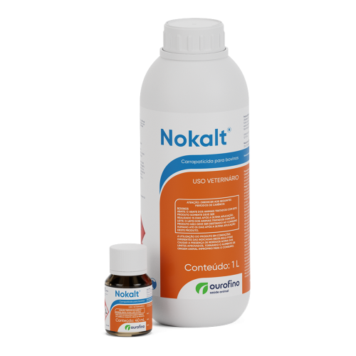 Nokalt - Apresentações