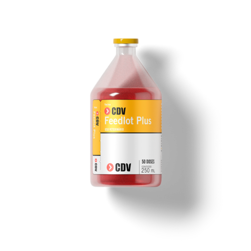 CDV_FEEDLOT