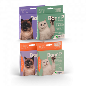 Banni 3