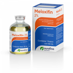 Meloxifin 2%