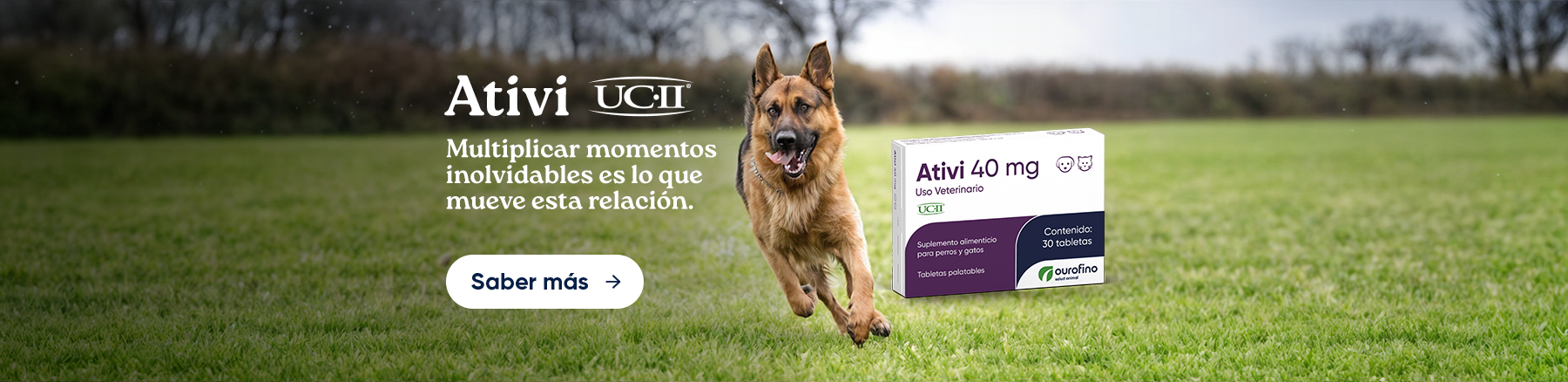 CÃES E GATOS – ATIVI