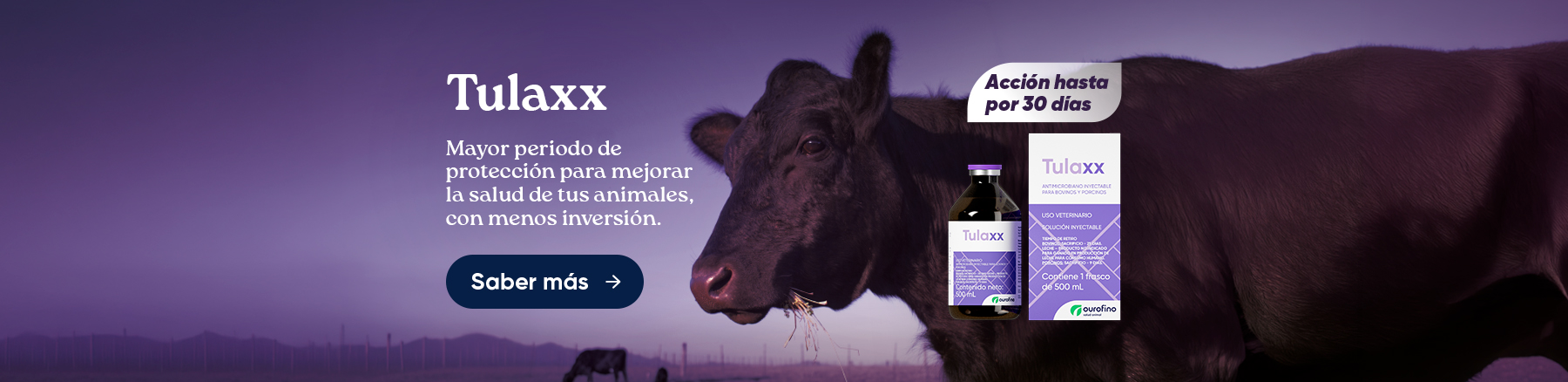 BOVINO E EQUINOS – TULAXX