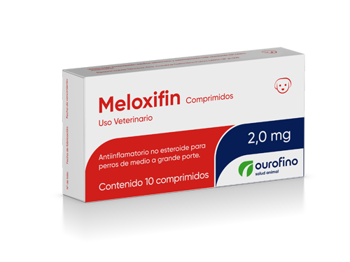 Meloxifin Comprimidos