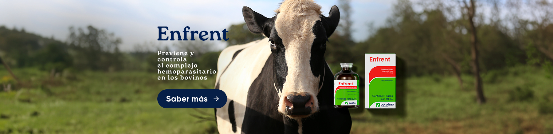 BOVINOS E EQUINOS – ENFRENT