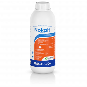 Nokalt
