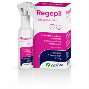 Regepil