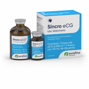 Sincro eCG®