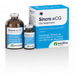 Sincro eCG