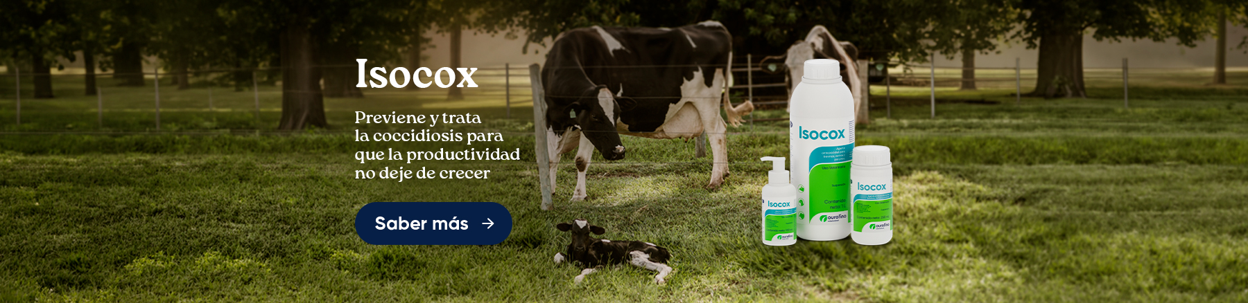 BOVINOS E EQUINOS – ISOCOX