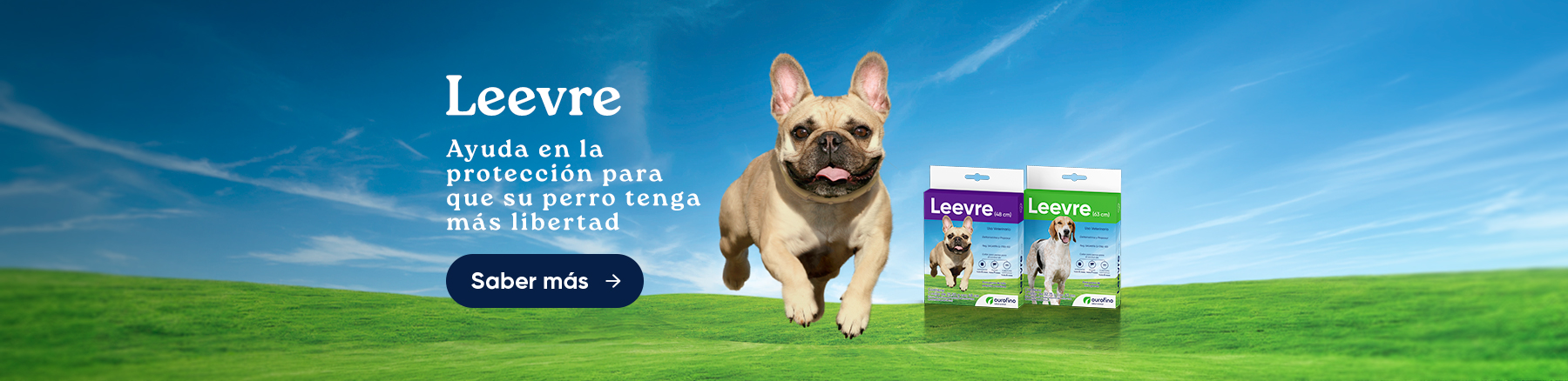 CÃES E GATOS – LEEVRE