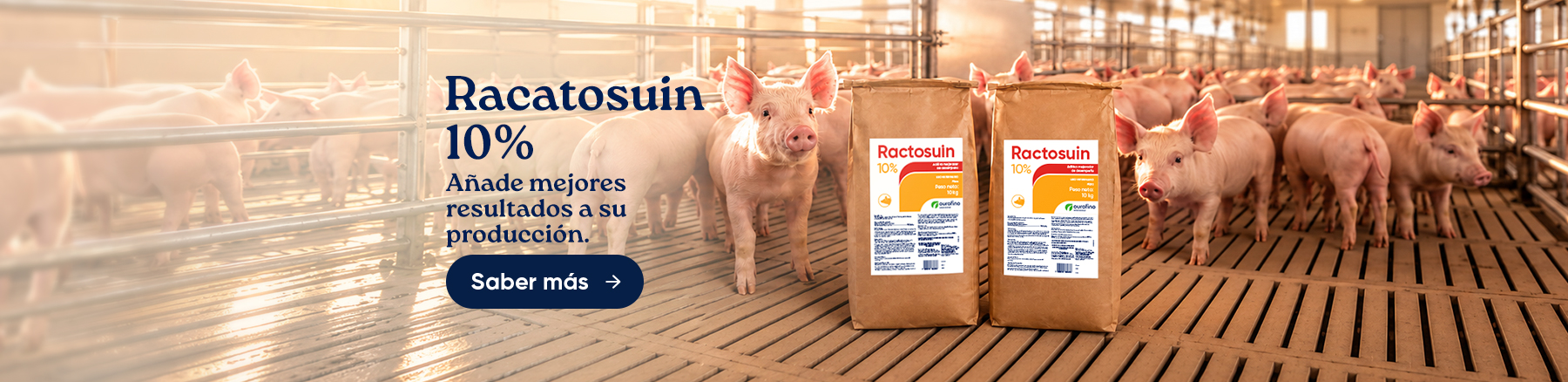 AVES E SUÍNOS – RACTOSUIN 10%