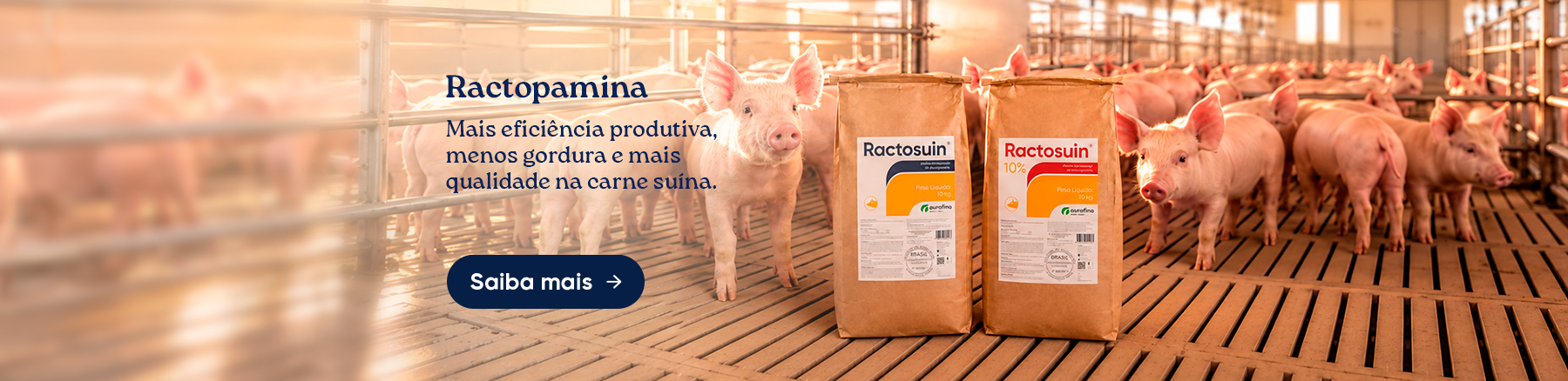 AVES E SUÍNOS – RACTOPAMINA