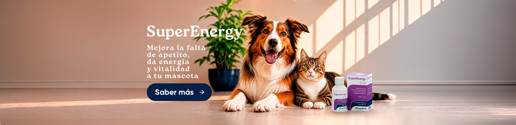CÃES E GATOS – SUPERENERGY